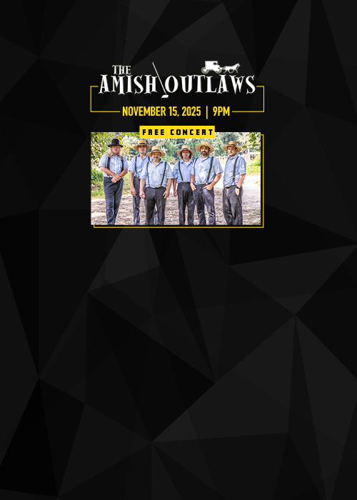 AMISH OUTLAWS