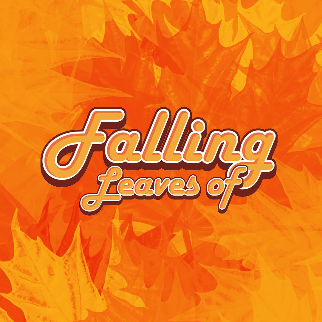 a close up of leaves