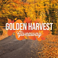 a road with yellow leaves and trees