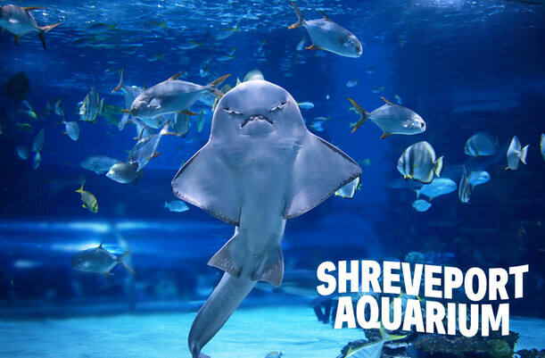 Shreveport Aquarium