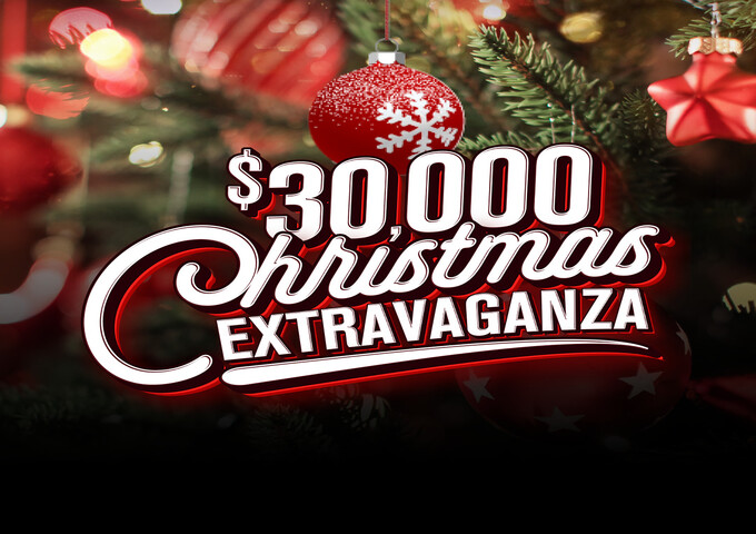 a christmas tree with ornaments and a price tag